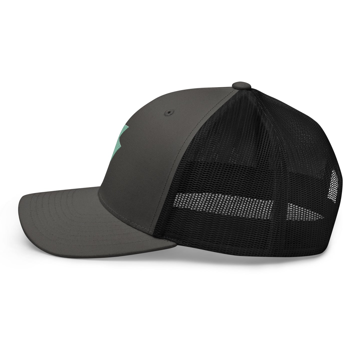 Rockstar Lightning Hat